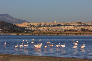 Cerdeña Cagliari