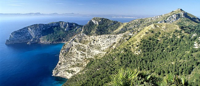 Alcudia ecoturística