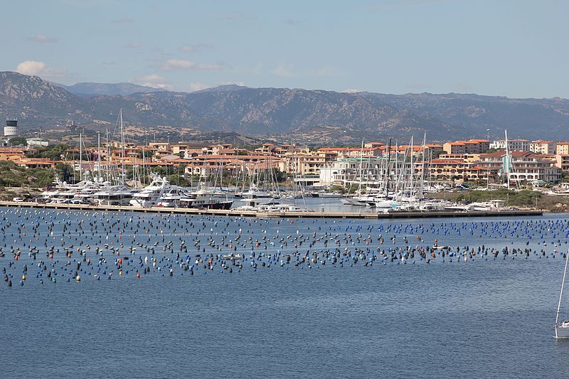 Bild des Fährhafens in Olbia