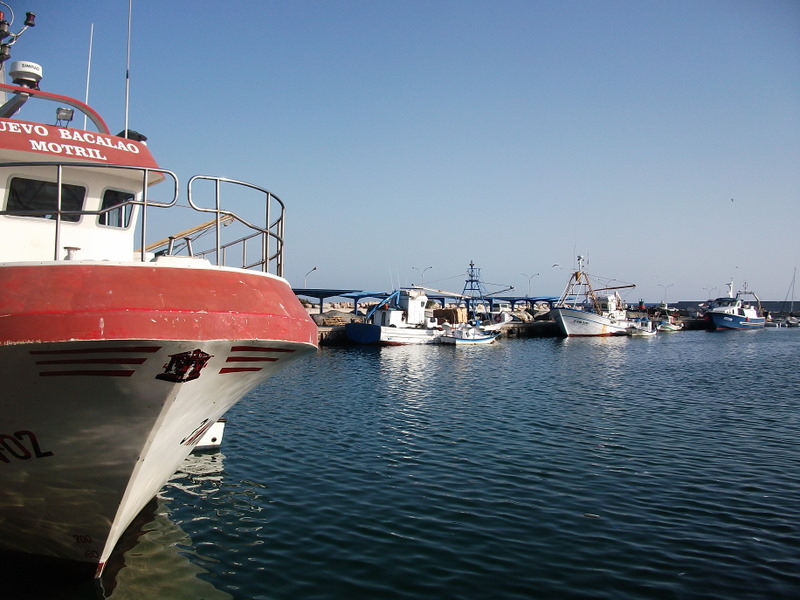Image of the ferry terminal in Motril