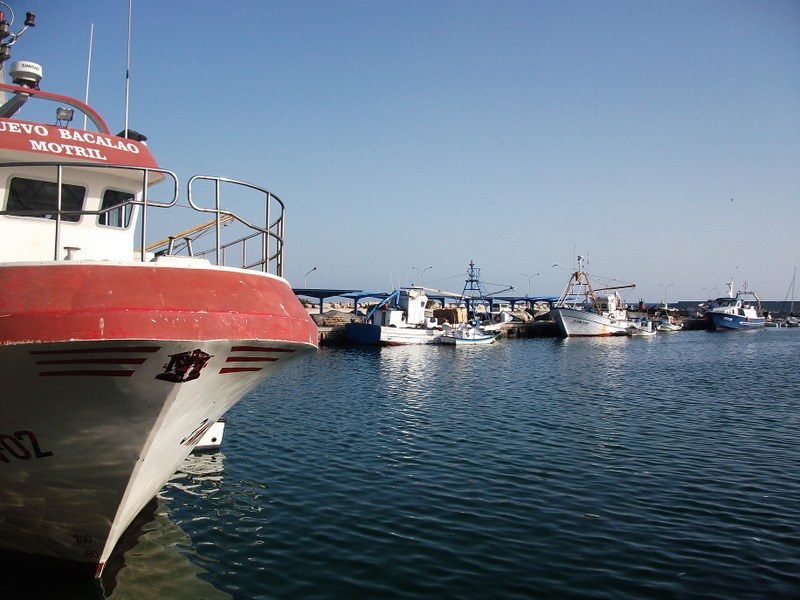 Imagen de la terminal de ferrys de Motril