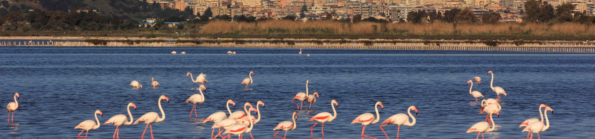 Imatge recurs del port de destinació Cagliari per a la ruta en ferry Civitavecchia - Cagliari